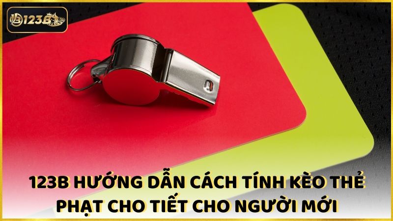 123b Huong Dan Cach Tinh Keo The Phat Cho Tiet Cho Nguoi Moi (1)