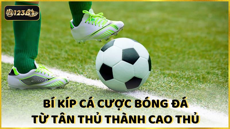 Bi Kip Ca Cuoc Bong Da Tu Tan Thu Thanh Cao Thu