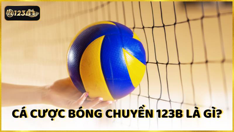 Ca Cuoc Bong Chuyen 123b La Gi 