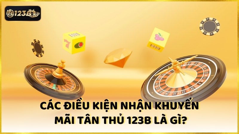 Cac Dieu Kien Nhan Khuyen Mai Tan Thu 123b La Gi