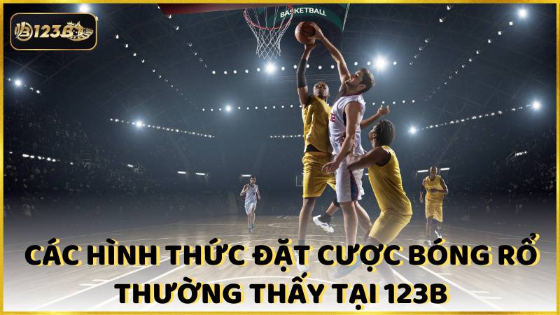 Cac Hinh Thuc Dat Cuoc Bong Ro Thuong Thay Tai 123b