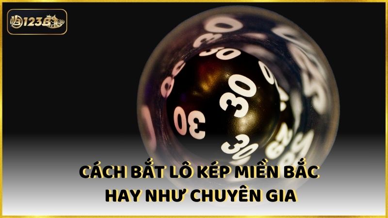 Cach Bat Lo Kep Mien Bac Hay Nhu Chuyen Gia