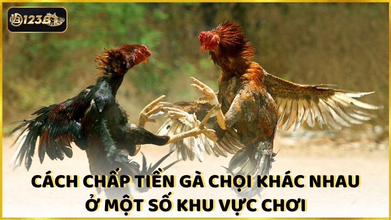 Cach Chap Tien Ga Choi Khac Nhau O Mot So Khu Vuc Choi (1)