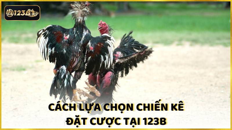 Cach Lua Chon Chien Ke Dat Cuoc Tai 123b