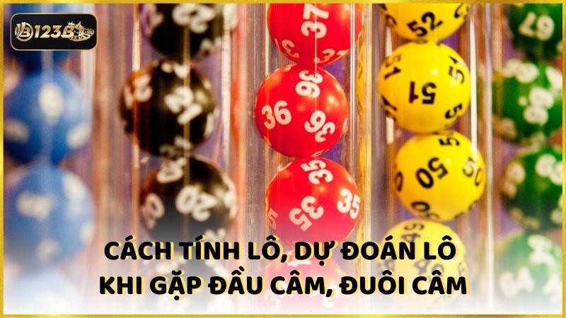 Cach Tinh Lo Du Doan Lo Khi Gap Dau Cam Duoi Cam