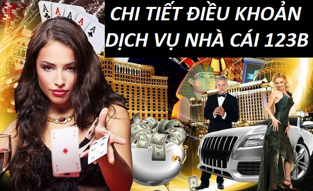 Chi Tiet Dieu Khoan Dich Vu Nha Cai 123b