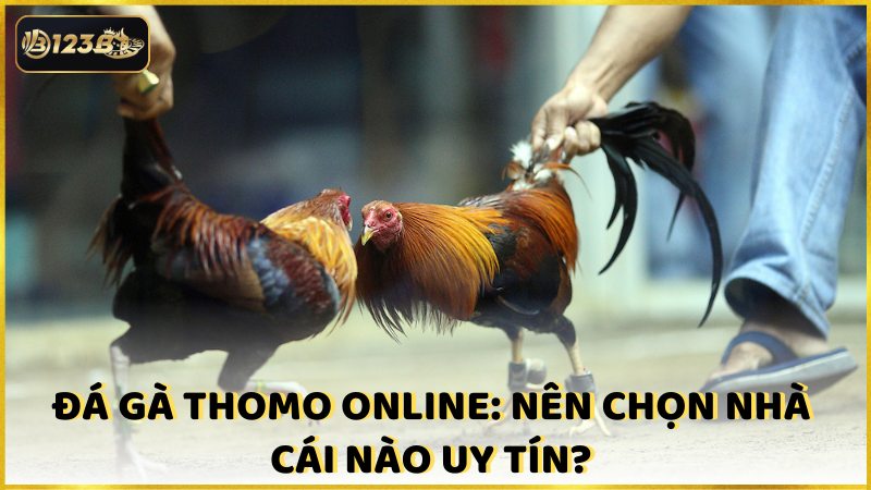 Da Ga Thomo Online Nen Chon Nha Cai Nao Uy Tin