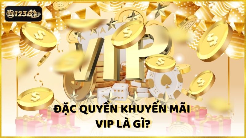 Dac Quyen Khuyen Mai Vip La Gi