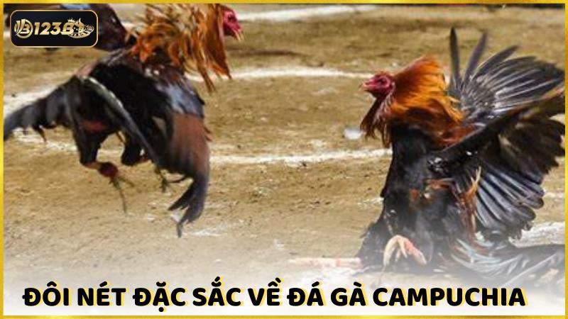 Doi Net Dac Sac Ve Da Ga Campuchia