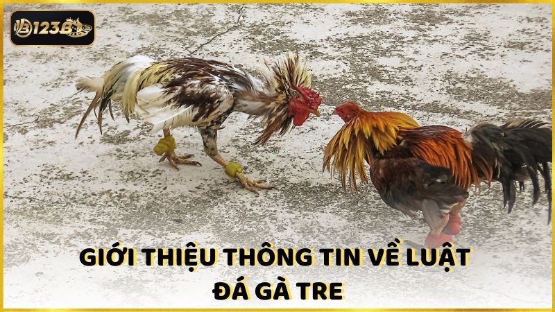 Gioi Thieu Thong Tin Ve Luat Da Ga Tre