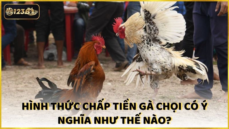 Hinh Thuc Chap Tien Ga Choi Co Y Nghia Nhu The Nao (1)