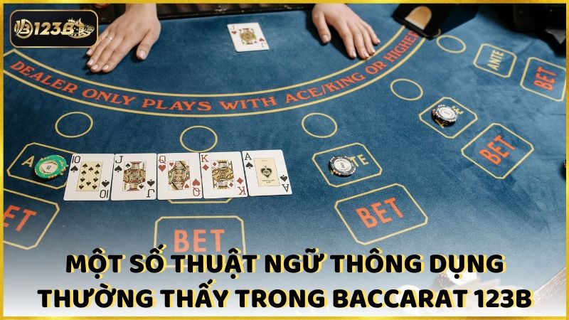 Mot So Thuat Ngu Thong Dung Thuong Thay Trong Baccarat 123b (1)