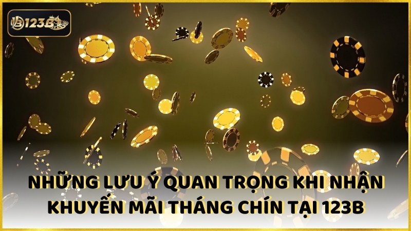 Nhung Luu Y Quan Trong Khi Nhan Khuyen Mai Thang Chin Tai 123b