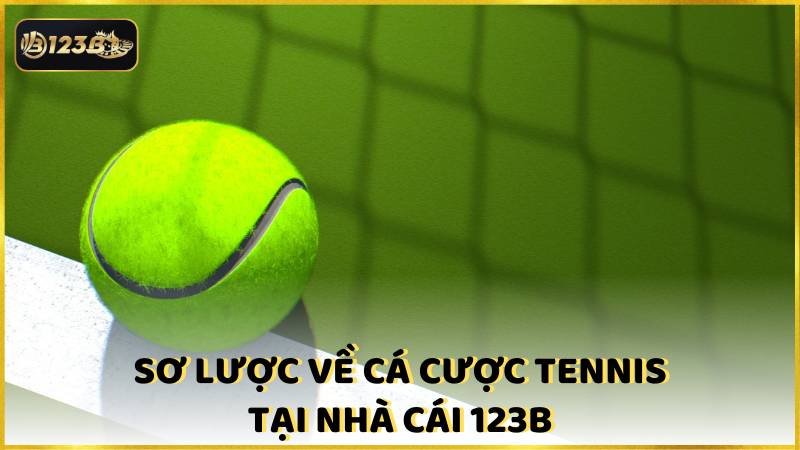 So Luoc Ve Ca Cuoc Tennis Tai Nha Cai 123b