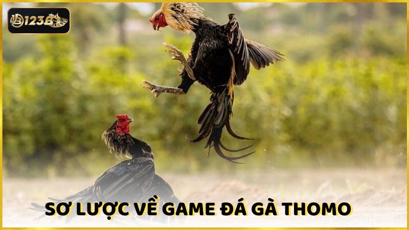 So Luoc Ve Game Da Ga Thomo