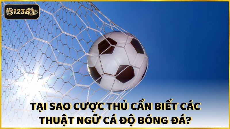 Tai Sao Cuoc Thu Can Biet Cac Thuat Ngu Ca Do Bong Da (1)