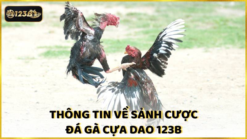 Thong Tin Ve Sanh Cuoc Da Ga Cua Dao 123b