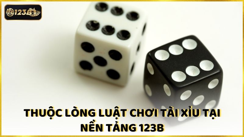 Thuoc Long Luat Choi Tai Xiu Tai Nen Tang 123b (1)