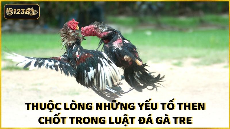 Thuoc Long Nhung Yeu To Then Chot Trong Luat Da Ga Tre