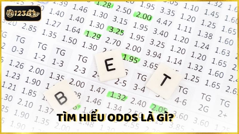 Tim Hieu Odds La Gi