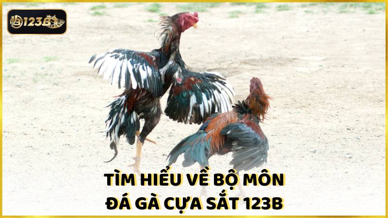 Tim Hieu Ve Bo Mon Da Ga Cua Sat 123b