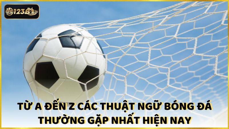 Tu A Den Z Cac Thuat Ngu Bong Da Thuong Gap Nhat Hien Nay (1)